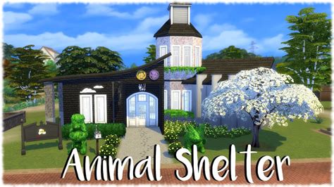 animal shelter sims 4.